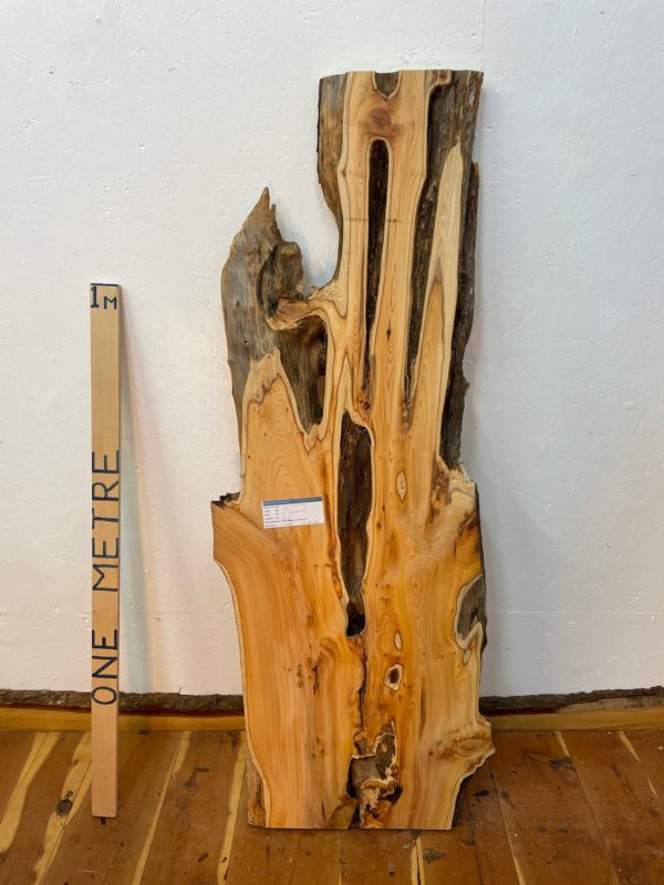 YEW Natural Waney Edge Slab Planed Finish Hardwood Board 1587-2 Thickness 4.8cm Kiln Dried Seasoned Live Edge Wallart Wildwood