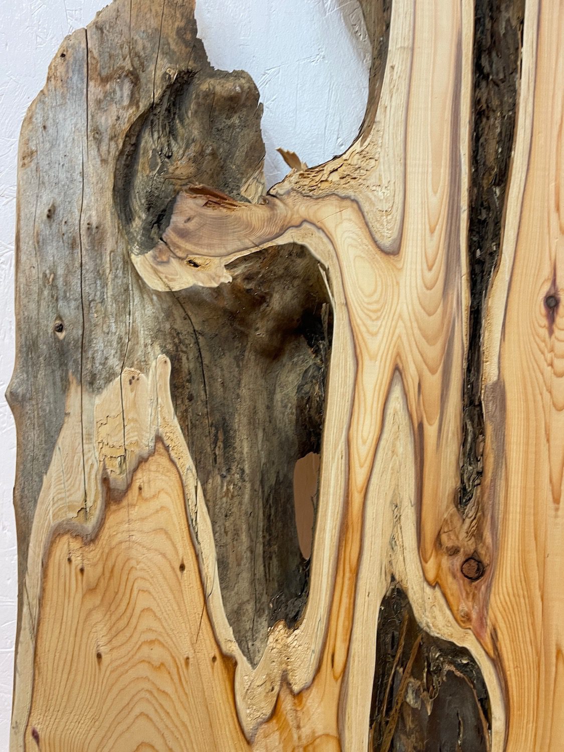 YEW Natural Waney Edge Slab Planed Finish Hardwood Board 1587B-2 Thickness 4.8cm Kiln Dried Seasoned Live Edge Wallart Wildwood - Image 7