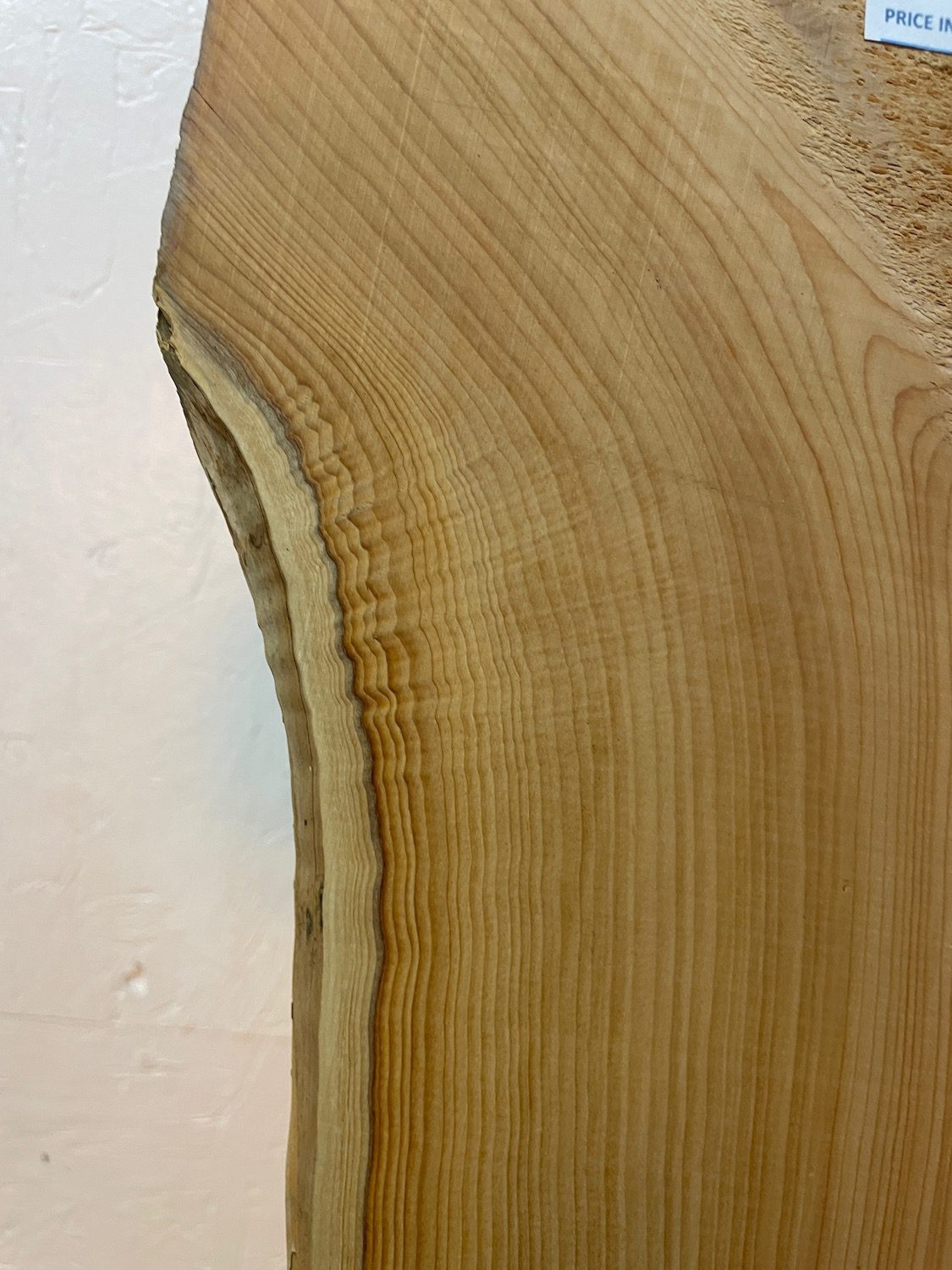 YEW Natural Waney Edge Slab Planed Finish Hardwood Board 1587B-2 Thickness 4.8cm Kiln Dried Seasoned Live Edge Wallart Wildwood - Image 10