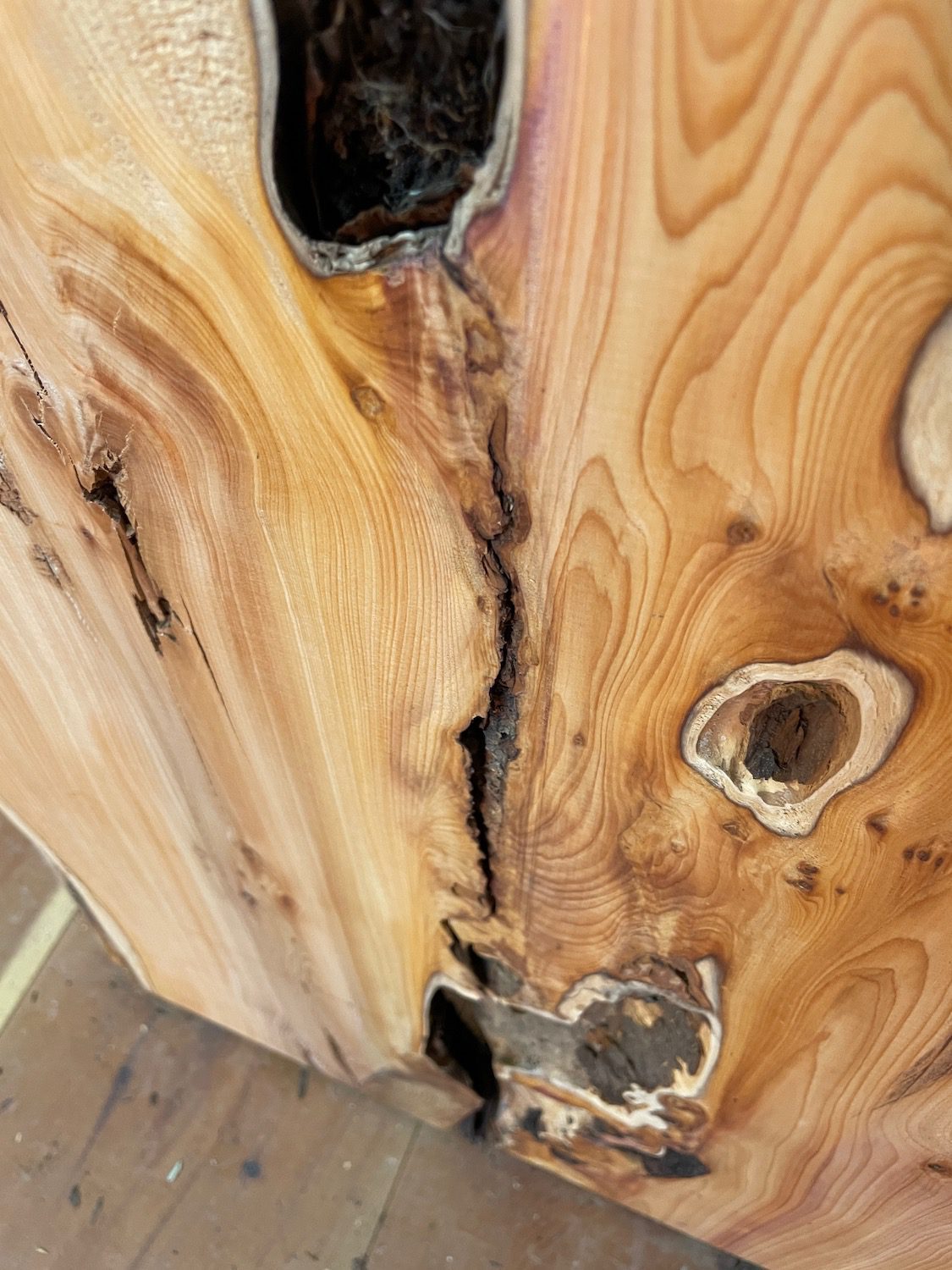 YEW Natural Waney Edge Slab Planed Finish Hardwood Board 1587B-2 Thickness 4.8cm Kiln Dried Seasoned Live Edge Wallart Wildwood - Image 11