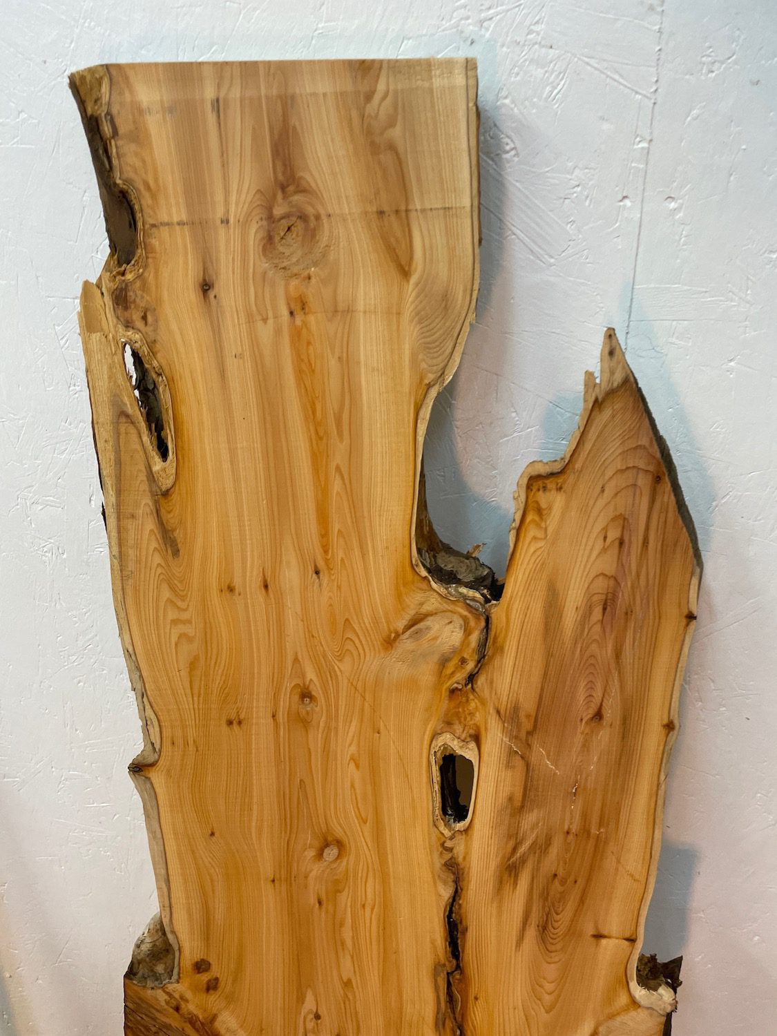 YEW Natural Waney Edge Slab Planed Finish Hardwood Board 1587B-2 Thickness 4.8cm Kiln Dried Seasoned Live Edge Wallart Wildwood - Image 13