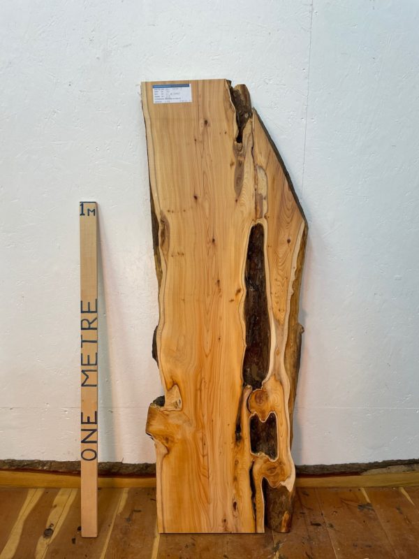 YEW Natural Waney Edge Slab Planed Finish Hardwood Board 1587B-3 Thickness 4.8cm Kiln Dried Seasoned Live Edge Wallart Wildwood