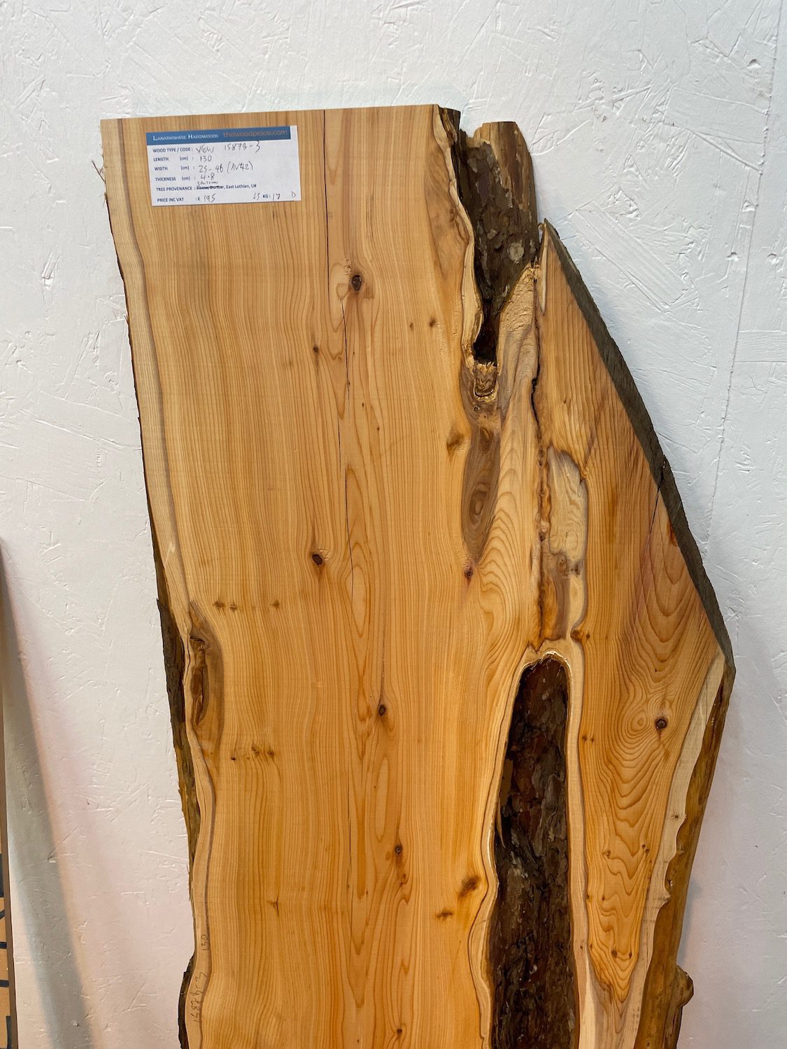 YEW Natural Waney Edge Slab Planed Finish Hardwood Board 1587B-3 Thickness 4.8cm Kiln Dried Seasoned Live Edge Wallart Wildwood - Image 4