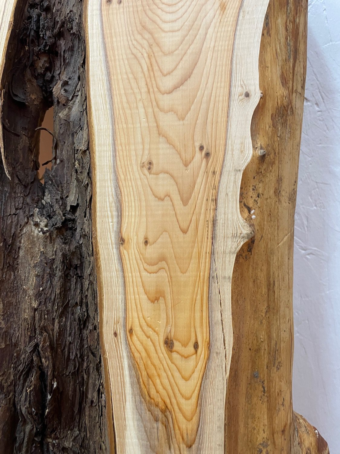 YEW Natural Waney Edge Slab Planed Finish Hardwood Board 1587B-3 Thickness 4.8cm Kiln Dried Seasoned Live Edge Wallart Wildwood - Image 8