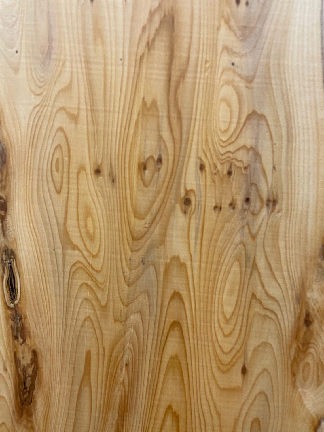 YEW Natural Waney Edge Slab Planed Finish Hardwood Board 1587B-5 Thickness 4.5cm Kiln Dried Seasoned Live Edge Wildwood - Image 6