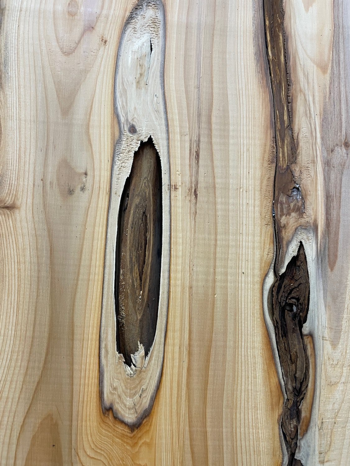 YEW Natural Waney Edge Slab Planed Finish Hardwood Board 1587B-5 Thickness 4.5cm Kiln Dried Seasoned Live Edge Wildwood - Image 9