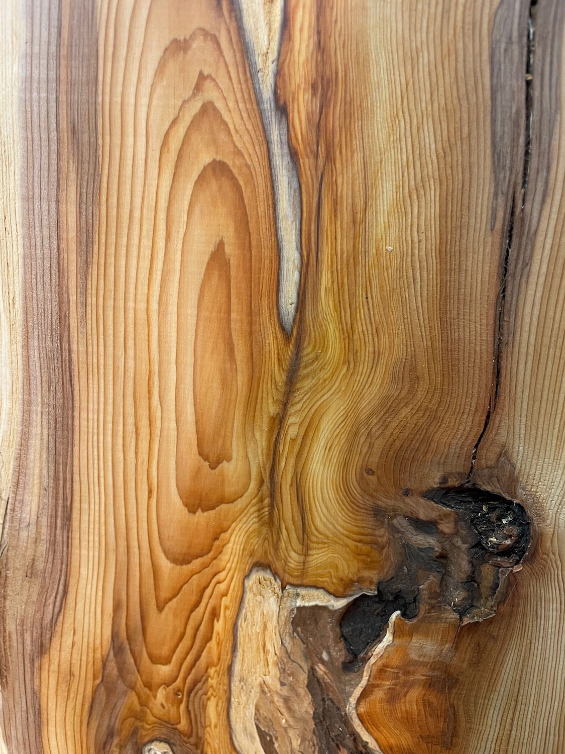 YEW Natural Waney Edge Slab Planed Finish Hardwood Board 1597-6 Thickness 4.5cm Kiln Dried Seasoned Live Edge - Image 7