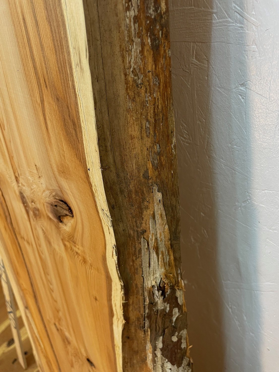 YEW Natural Waney Edge Slab Planed Finish Hardwood Board 1597-6 Thickness 4.5cm Kiln Dried Seasoned Live Edge - Image 10