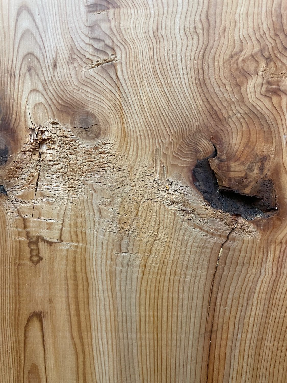 YEW Natural Waney Edge Slab Planed Finish Hardwood Board 1597-7 Thickness 4.8cm Kiln Dried Seasoned Live Edge - Image 10