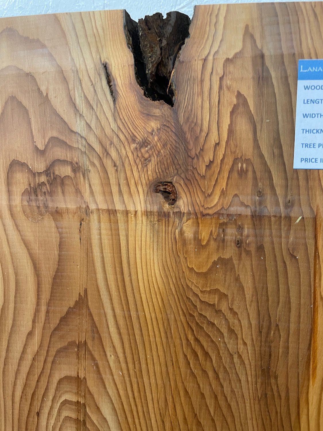 YEW Natural Waney Edge Slab Planed Finish Hardwood Board 1597-7 Thickness 4.8cm Kiln Dried Seasoned Live Edge - Image 11