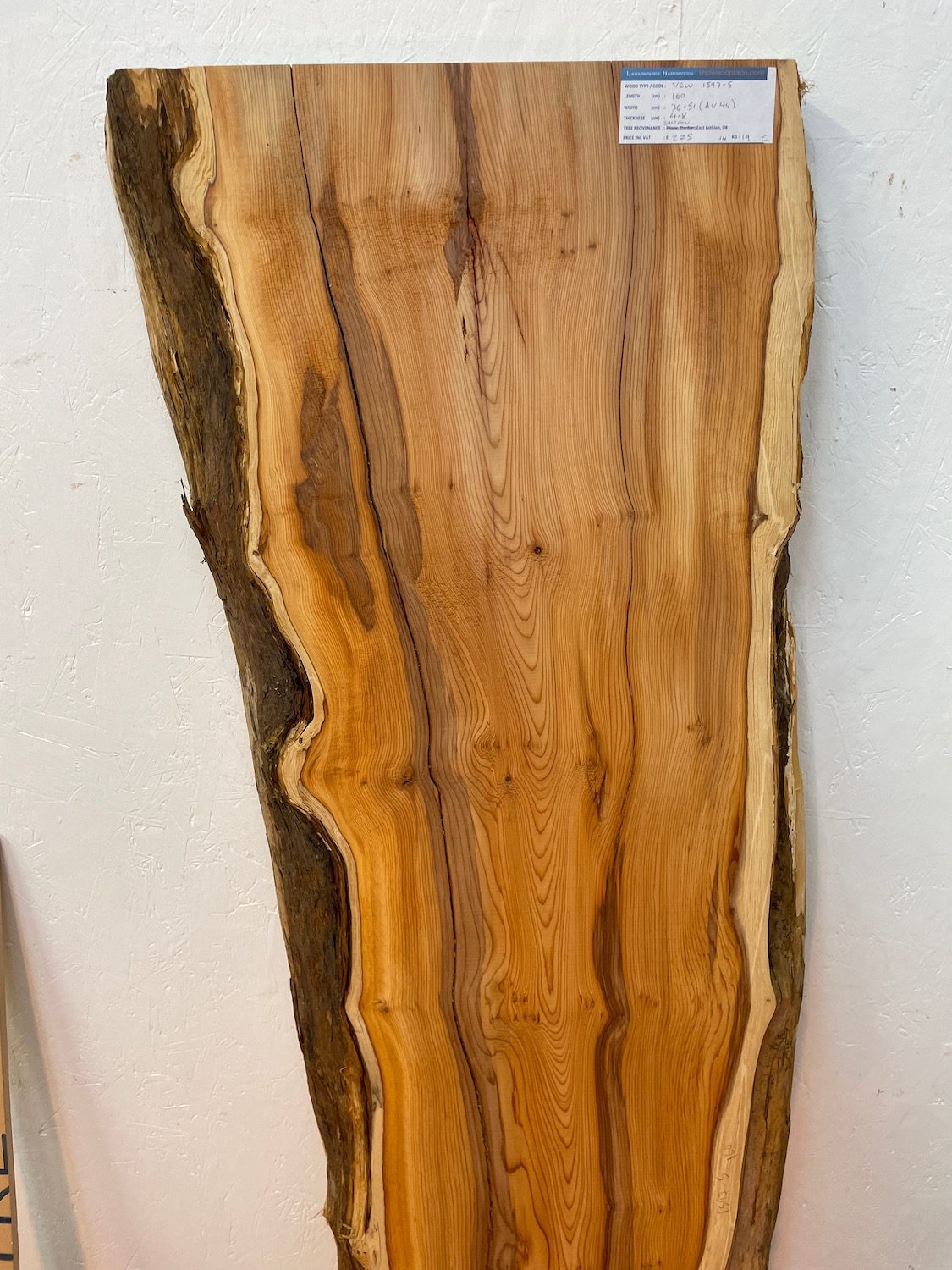 YEW Natural Waney Edge Slab Planed Finish Hardwood Board 1597-5 Thickness 4.8cm Kiln Dried Seasoned Live Edge - Image 4