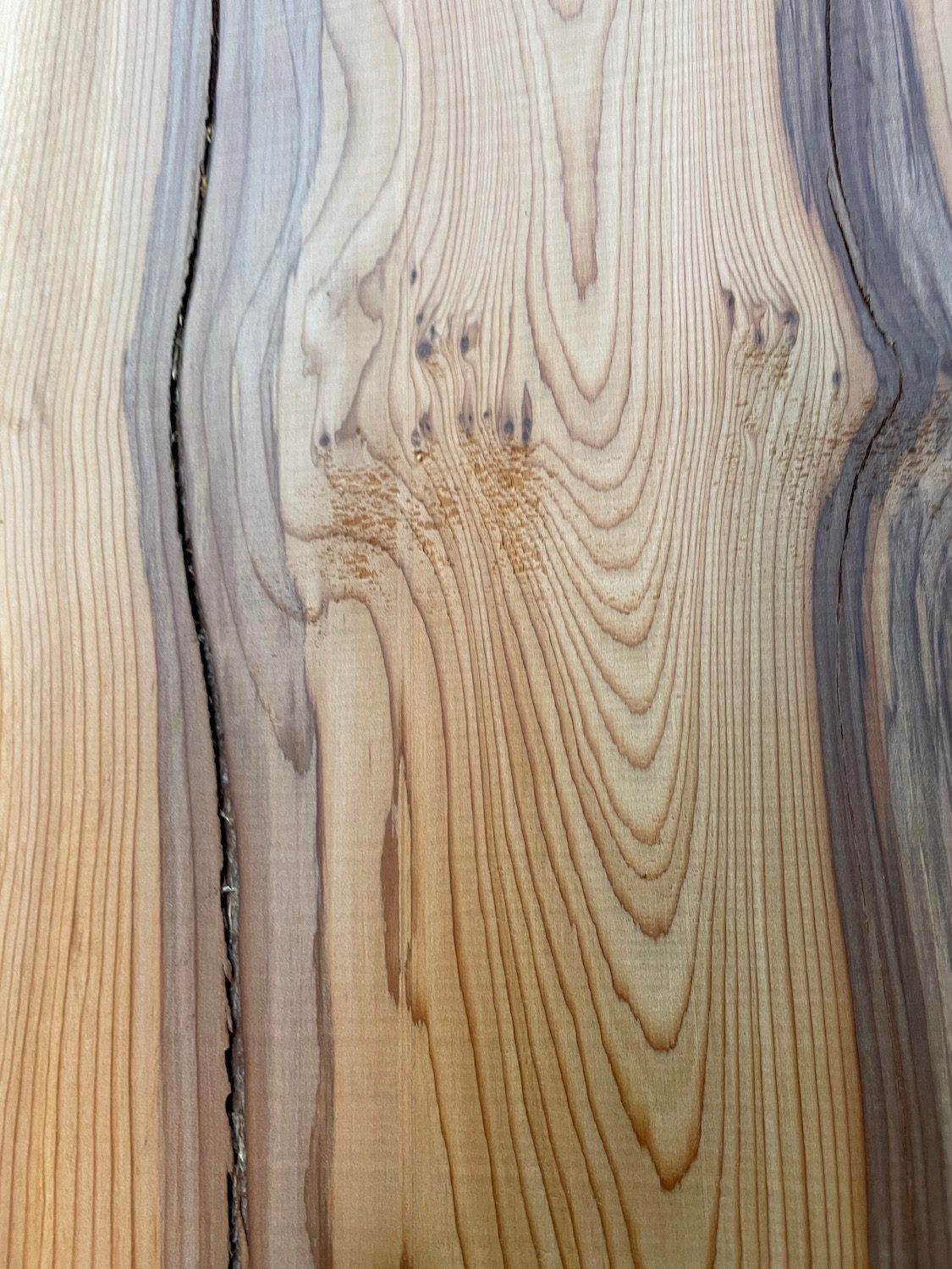 YEW Natural Waney Edge Slab Planed Finish Hardwood Board 1597-5 Thickness 4.8cm Kiln Dried Seasoned Live Edge - Image 6