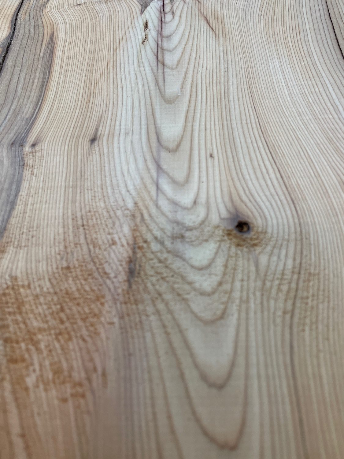 YEW Natural Waney Edge Slab Planed Finish Hardwood Board 1597-5 Thickness 4.8cm Kiln Dried Seasoned Live Edge - Image 7