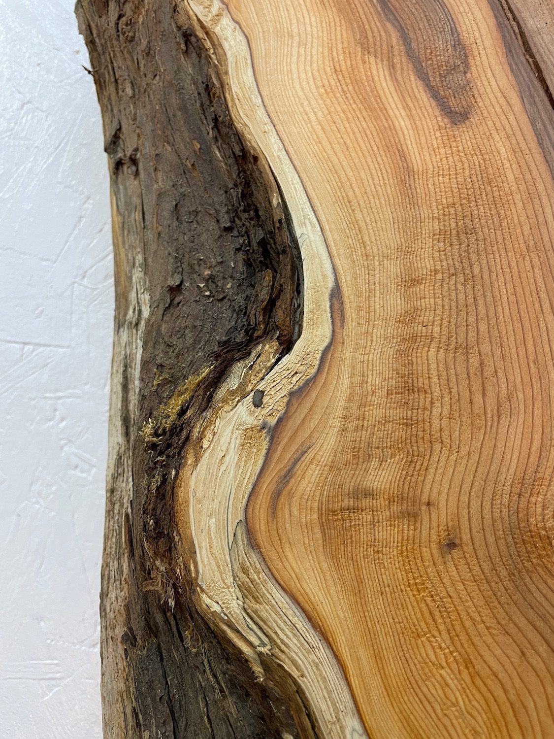 YEW Natural Waney Edge Slab Planed Finish Hardwood Board 1597-5 Thickness 4.8cm Kiln Dried Seasoned Live Edge - Image 8