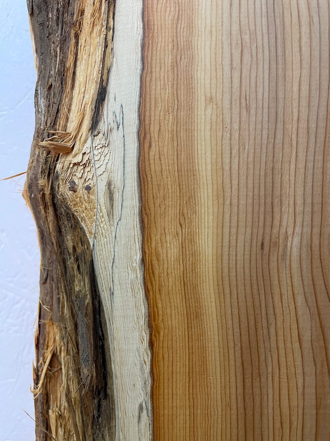 YEW Natural Waney Edge Slab Planed Finish Hardwood Board 1597-5 Thickness 4.8cm Kiln Dried Seasoned Live Edge - Image 9