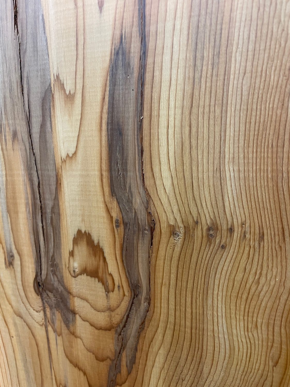 YEW Natural Waney Edge Slab Planed Finish Hardwood Board 1597-5 Thickness 4.8cm Kiln Dried Seasoned Live Edge - Image 10