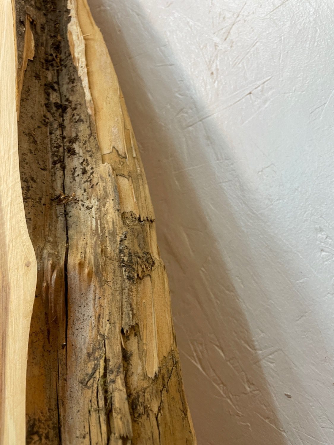 YEW Natural Waney Edge Slab Planed Finish Hardwood Board 1597-5 Thickness 4.8cm Kiln Dried Seasoned Live Edge - Image 12