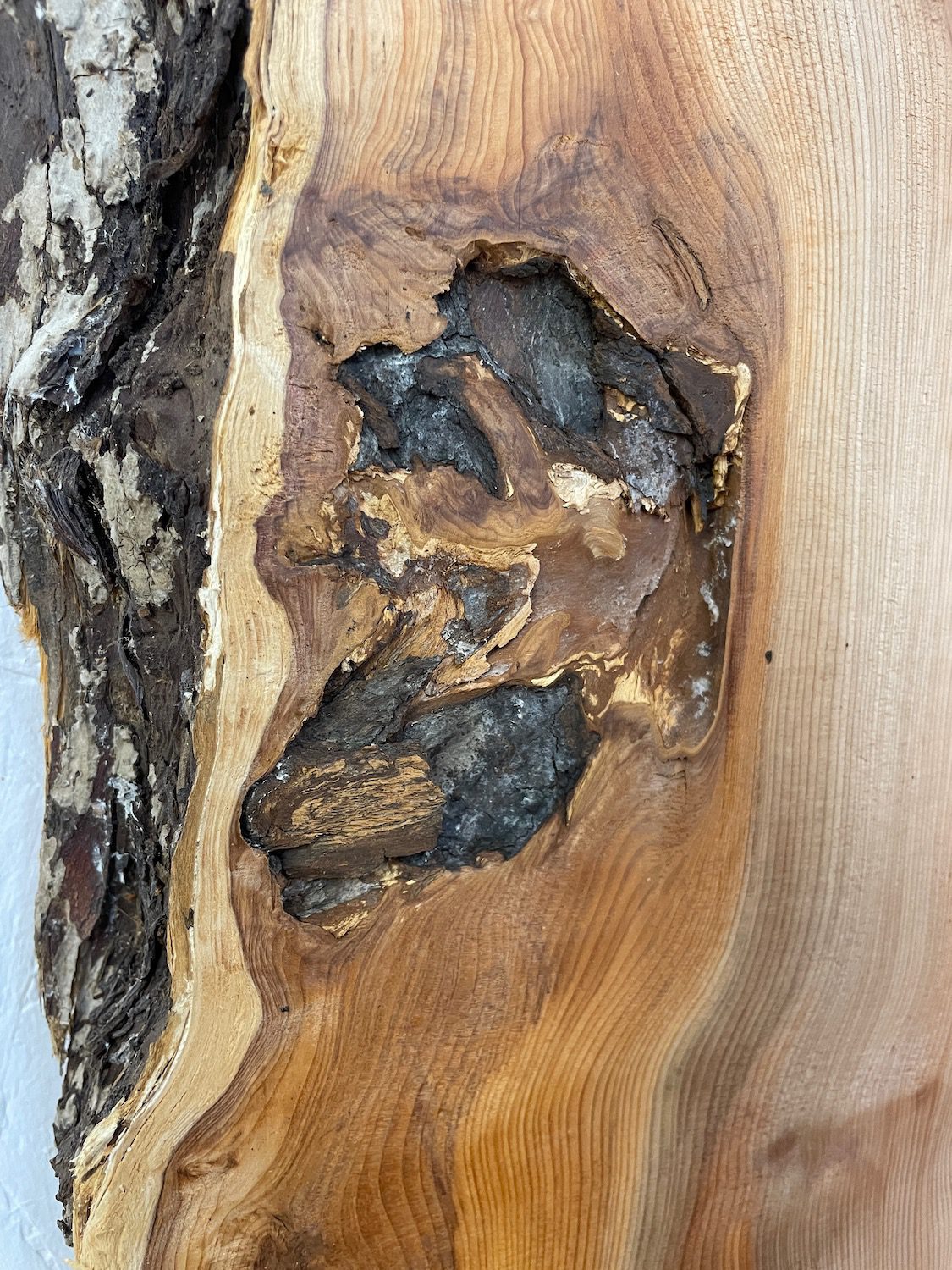 YEW Natural Waney Edge Slab Planed Finish Hardwood Board 1597-5 Thickness 4.8cm Kiln Dried Seasoned Live Edge - Image 19