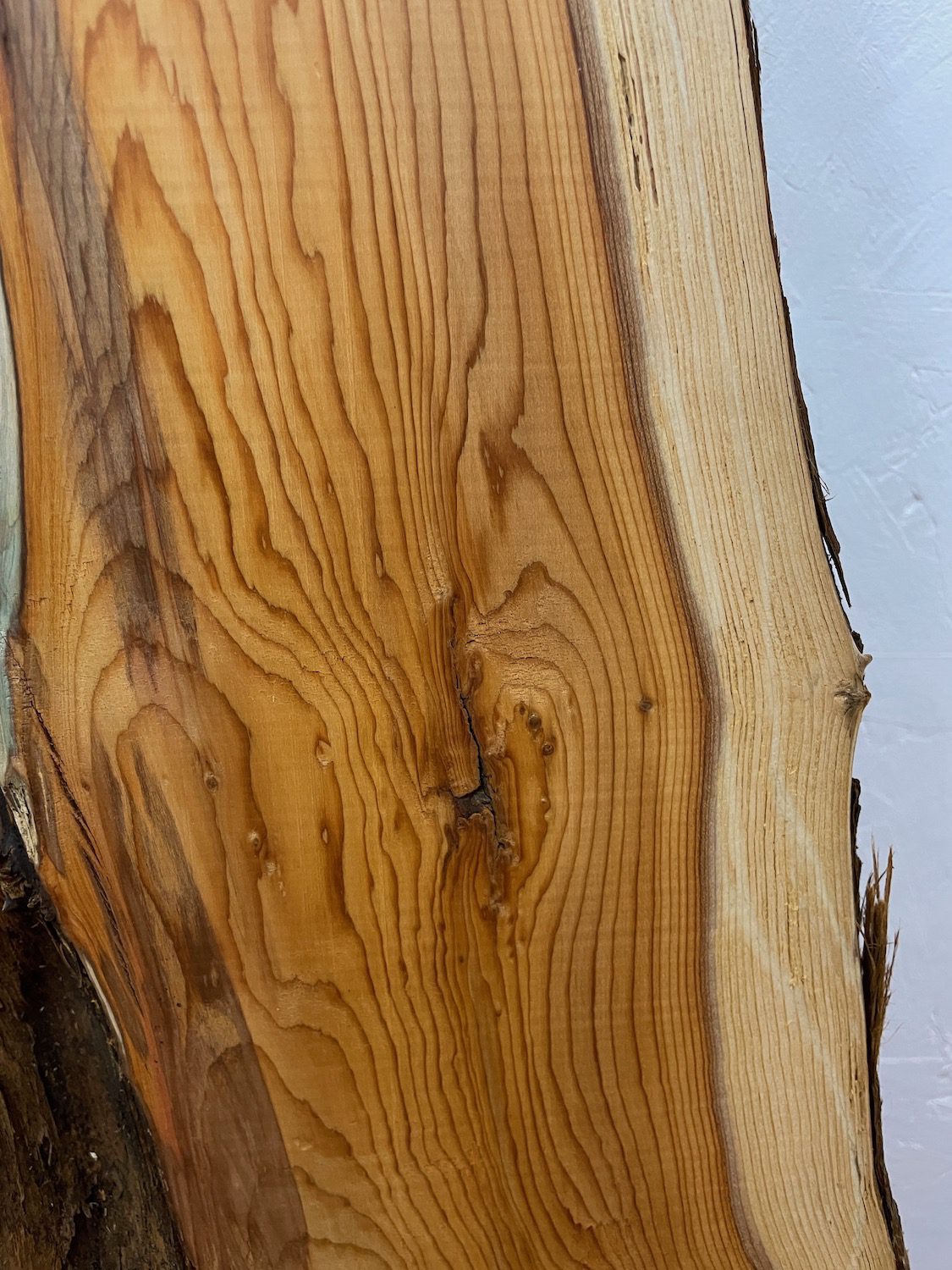 YEW Natural Waney Edge Slab Planed Finish Hardwood Board 1597-4 Thickness 4.8cm Kiln Dried Seasoned Live Edge Wildwood Wallart - Image 8