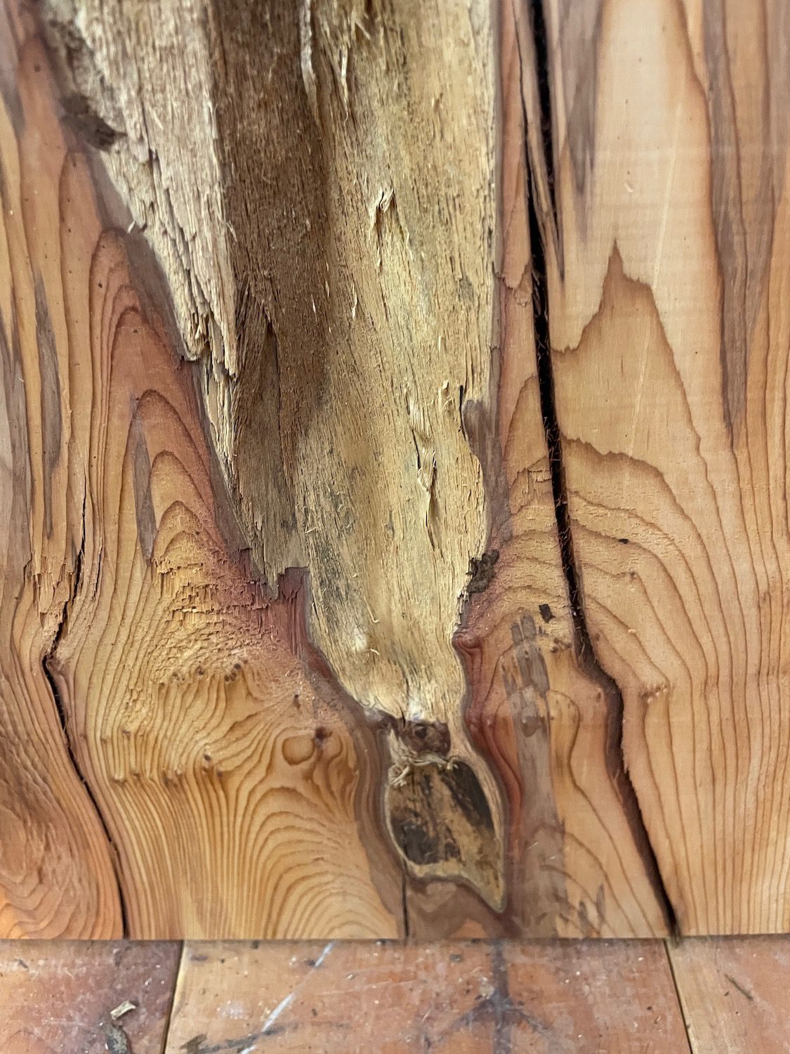 YEW Natural Waney Edge Slab Planed Finish Hardwood Board 1597-4 Thickness 4.8cm Kiln Dried Seasoned Live Edge Wildwood Wallart - Image 9