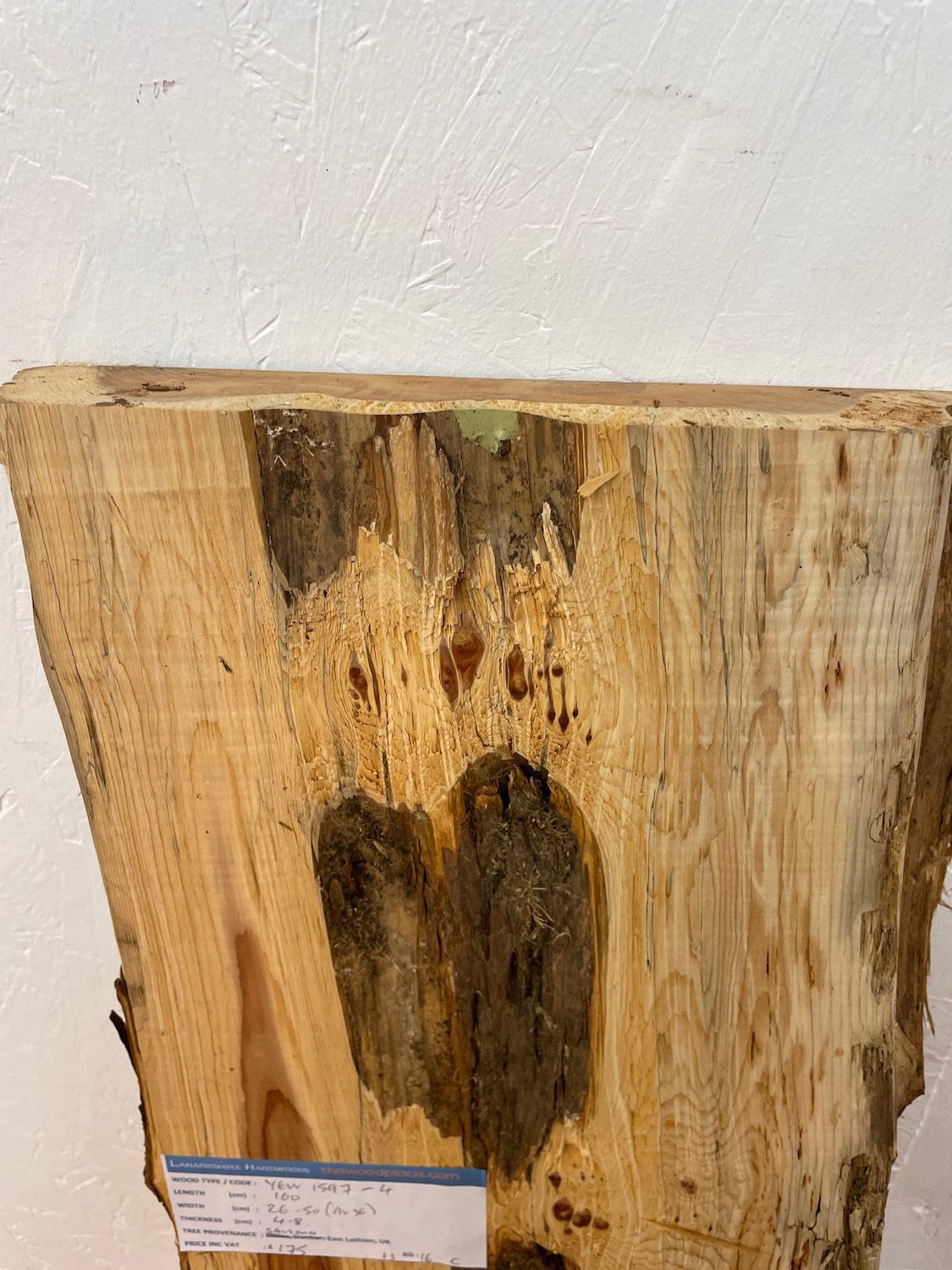 YEW Natural Waney Edge Slab Planed Finish Hardwood Board 1597-4 Thickness 4.8cm Kiln Dried Seasoned Live Edge Wildwood Wallart - Image 10