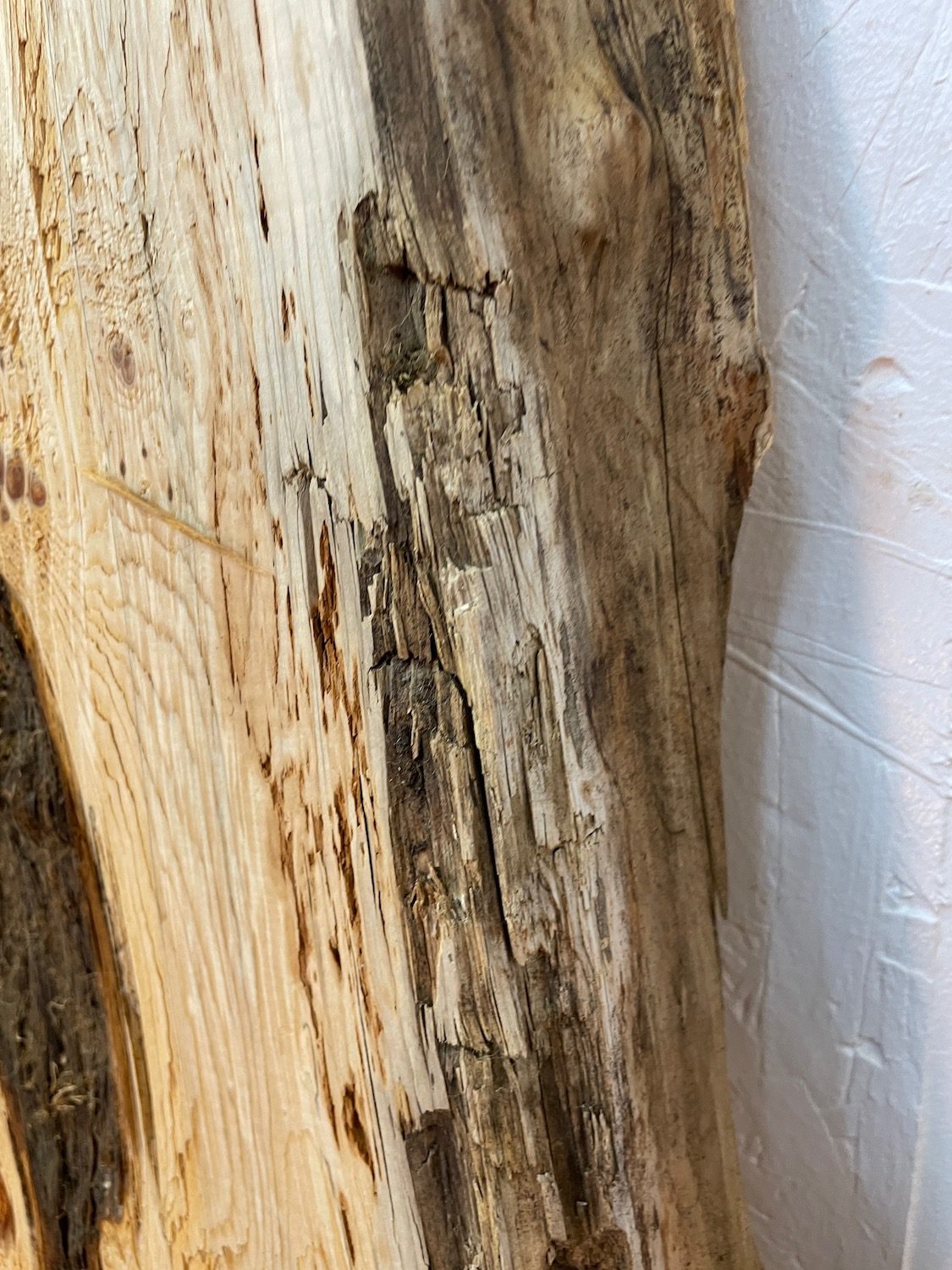 YEW Natural Waney Edge Slab Planed Finish Hardwood Board 1597-4 Thickness 4.8cm Kiln Dried Seasoned Live Edge Wildwood Wallart - Image 11