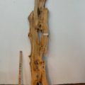 YEW Natural Waney Edge Slab Planed Finish Hardwood Board 1592-7 Thickness 3.8cm Kiln Dried Seasoned Live Edge Wildwood Wallart
