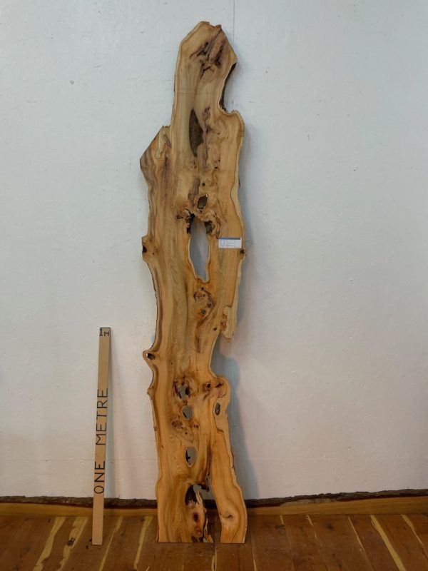 YEW Natural Waney Edge Slab Planed Finish Hardwood Board 1592-7 Thickness 3.8cm Kiln Dried Seasoned Live Edge Wildwood Wallart