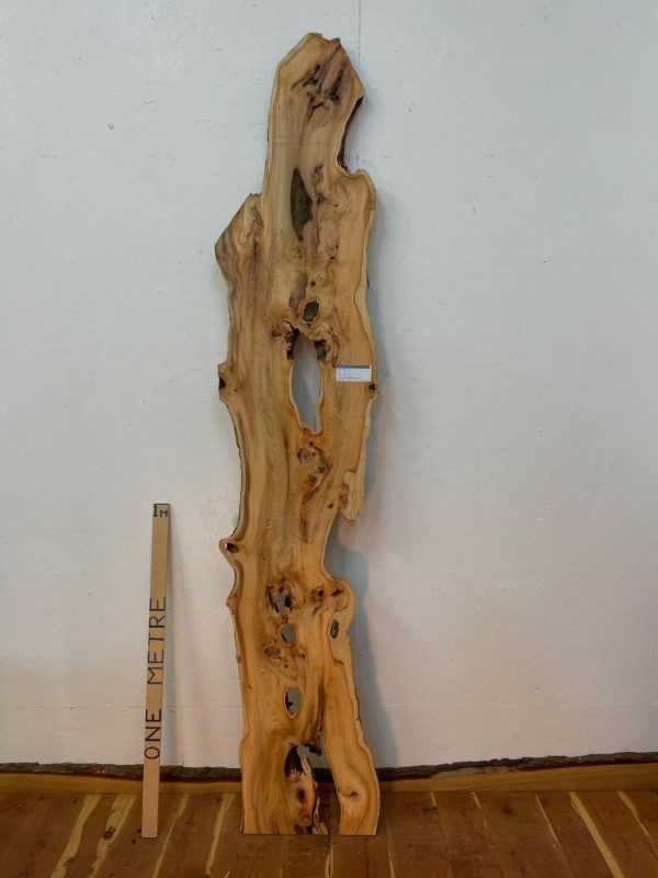 YEW Natural Waney Edge Slab Planed Finish Hardwood Board 1592-7 Thickness 3.8cm Kiln Dried Seasoned Live Edge Wildwood Wallart