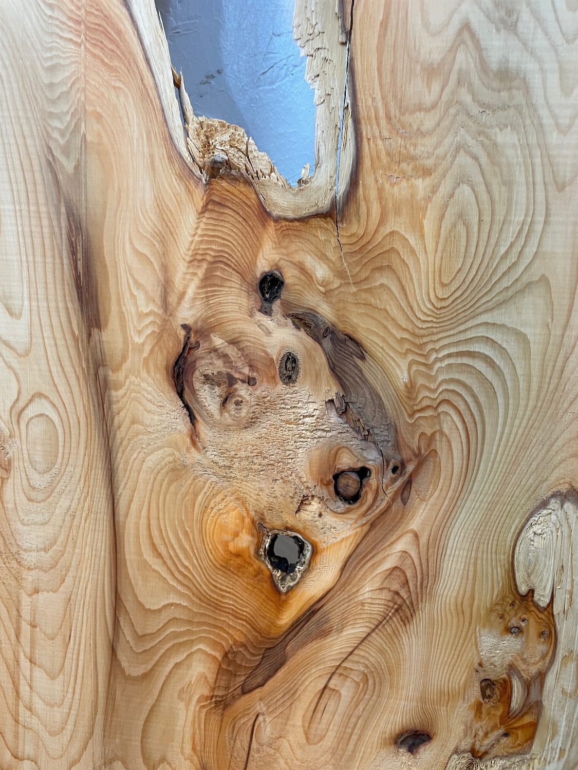 YEW Natural Waney Edge Slab Planed Finish Hardwood Board 1592-7 Thickness 3.8cm Kiln Dried Seasoned Live Edge Wildwood Wallart - Image 8