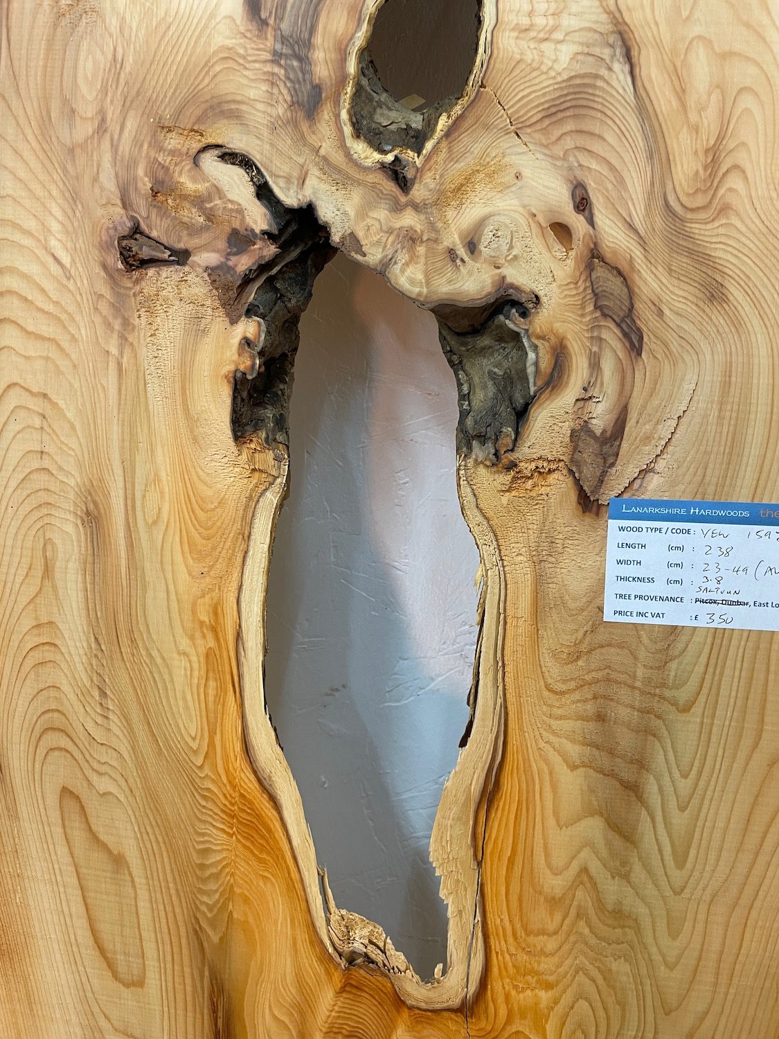 YEW Natural Waney Edge Slab Planed Finish Hardwood Board 1592-7 Thickness 3.8cm Kiln Dried Seasoned Live Edge Wildwood Wallart - Image 9