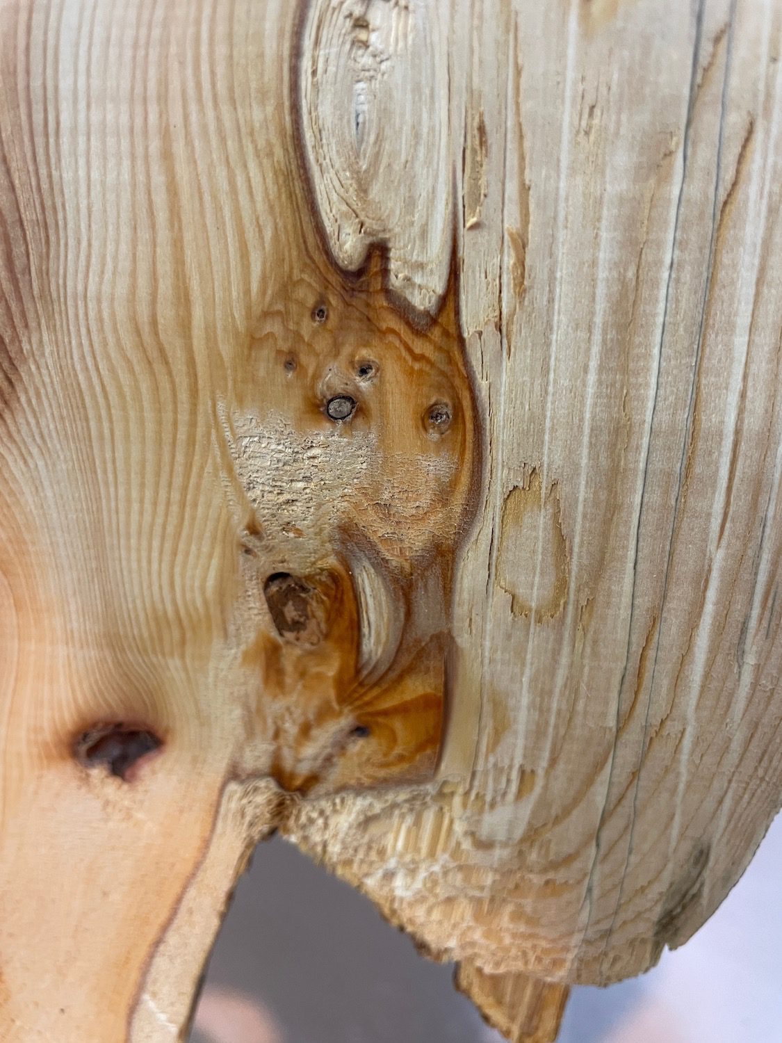 YEW Natural Waney Edge Slab Planed Finish Hardwood Board 1592-7 Thickness 3.8cm Kiln Dried Seasoned Live Edge Wildwood Wallart - Image 11