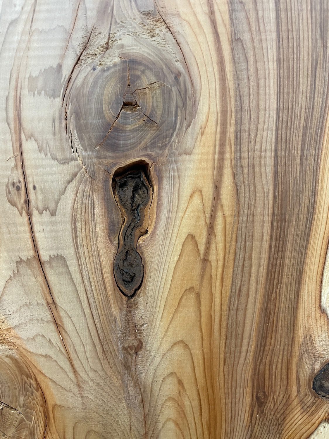 YEW Natural Waney Edge Slab Planed Finish Hardwood Board 1595-1 Thickness 4.8cm Kiln Dried Seasoned Live Edge Wildwood - Image 6