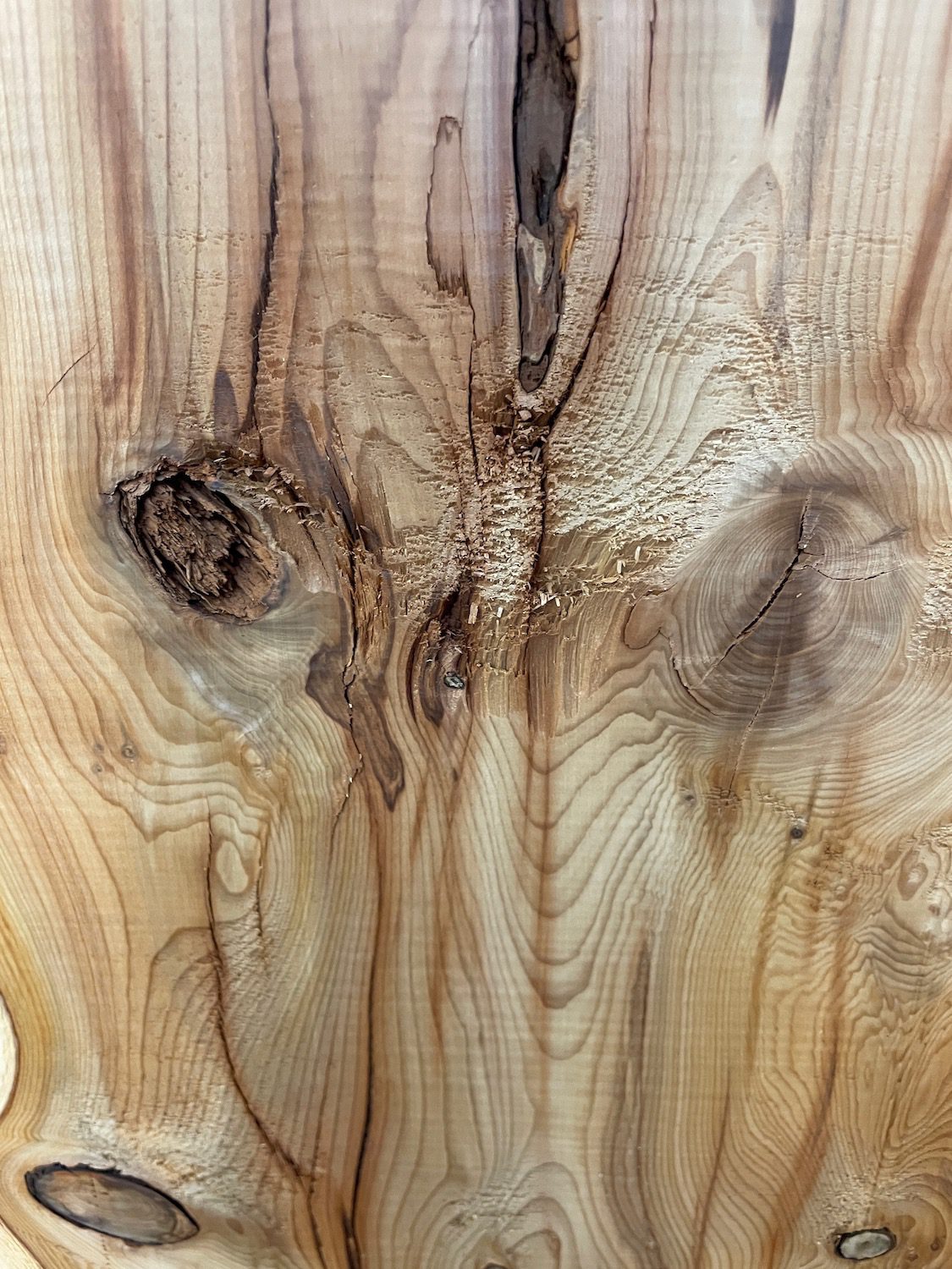 YEW Natural Waney Edge Slab Planed Finish Hardwood Board 1595-1 Thickness 4.8cm Kiln Dried Seasoned Live Edge Wildwood - Image 16