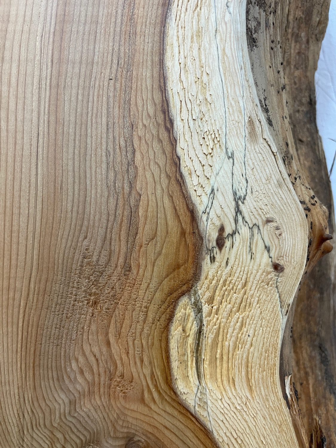 YEW Natural Waney Edge Slab Planed Finish Hardwood Board 1595-3 Thickness 4.8cm Kiln Dried Seasoned Live Edge - Image 9