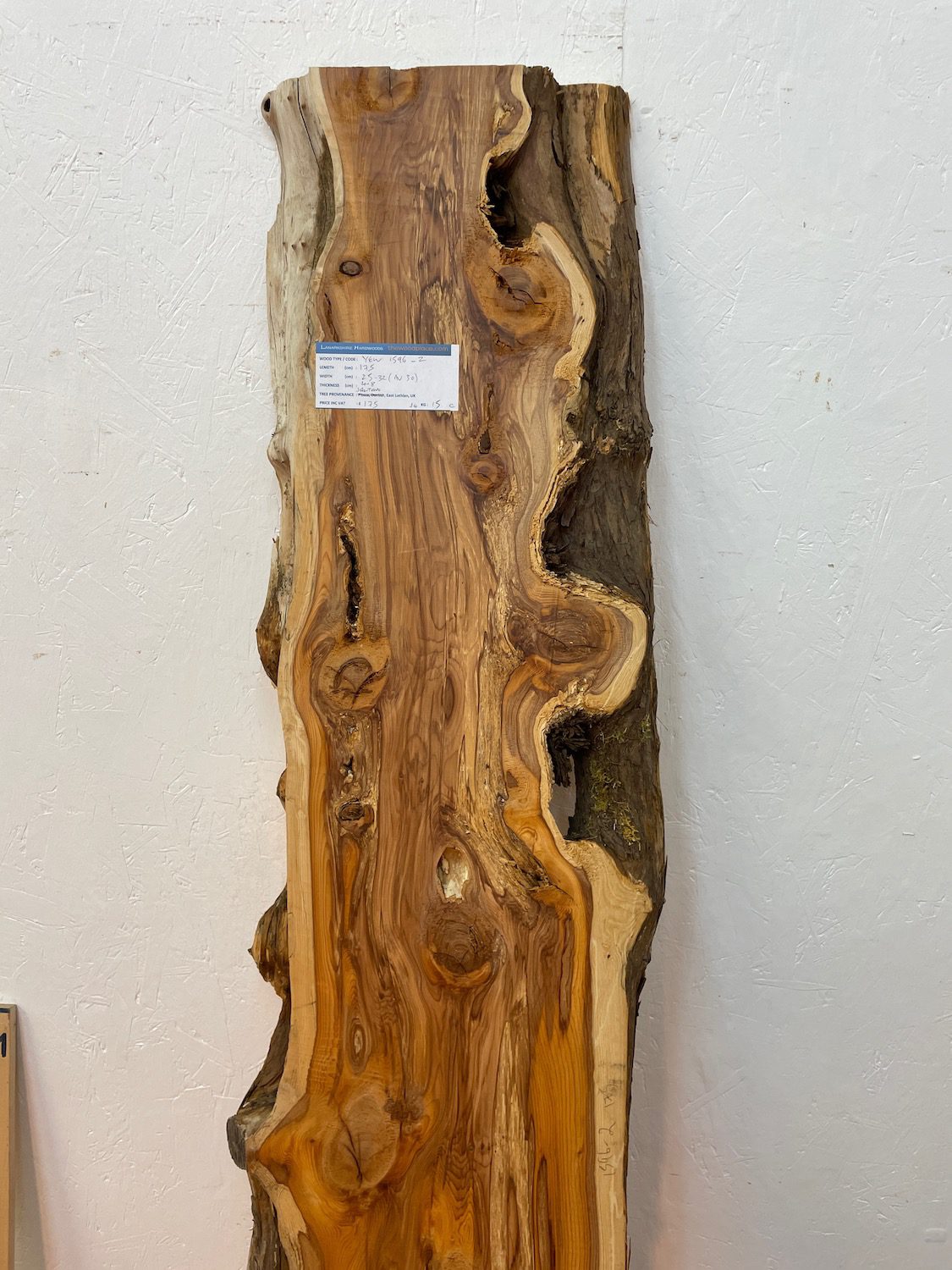 YEW Natural Waney Edge Slab Planed Finish Hardwood Board 1596-2 Thickness 4.8cm Kiln Dried Seasoned Live Edge Wildwood - Image 4