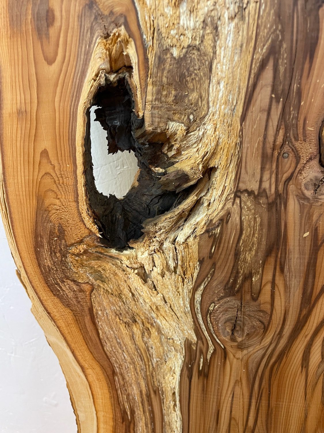 YEW Natural Waney Edge Slab Planed Finish Hardwood Board 1596-2 Thickness 4.8cm Kiln Dried Seasoned Live Edge Wildwood - Image 15