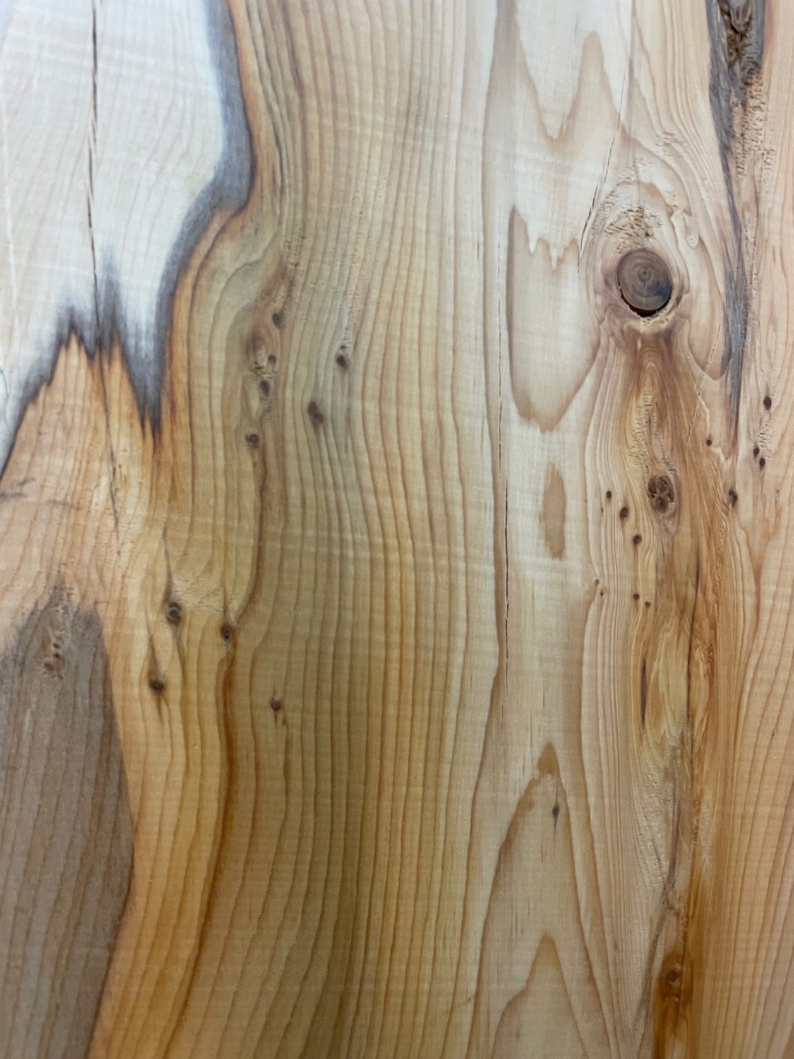 YEW Natural Waney Edge Slab Planed Finish Hardwood Board 1586A-3 Thickness 4.8cm Kiln Dried Seasoned Live Edge - Image 7