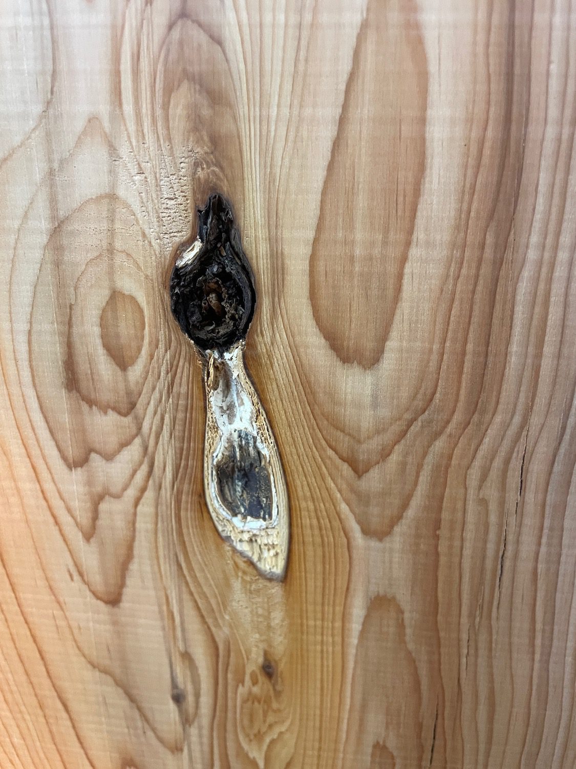 YEW Natural Waney Edge Slab Planed Finish Hardwood Board 1586A-3 Thickness 4.8cm Kiln Dried Seasoned Live Edge - Image 8