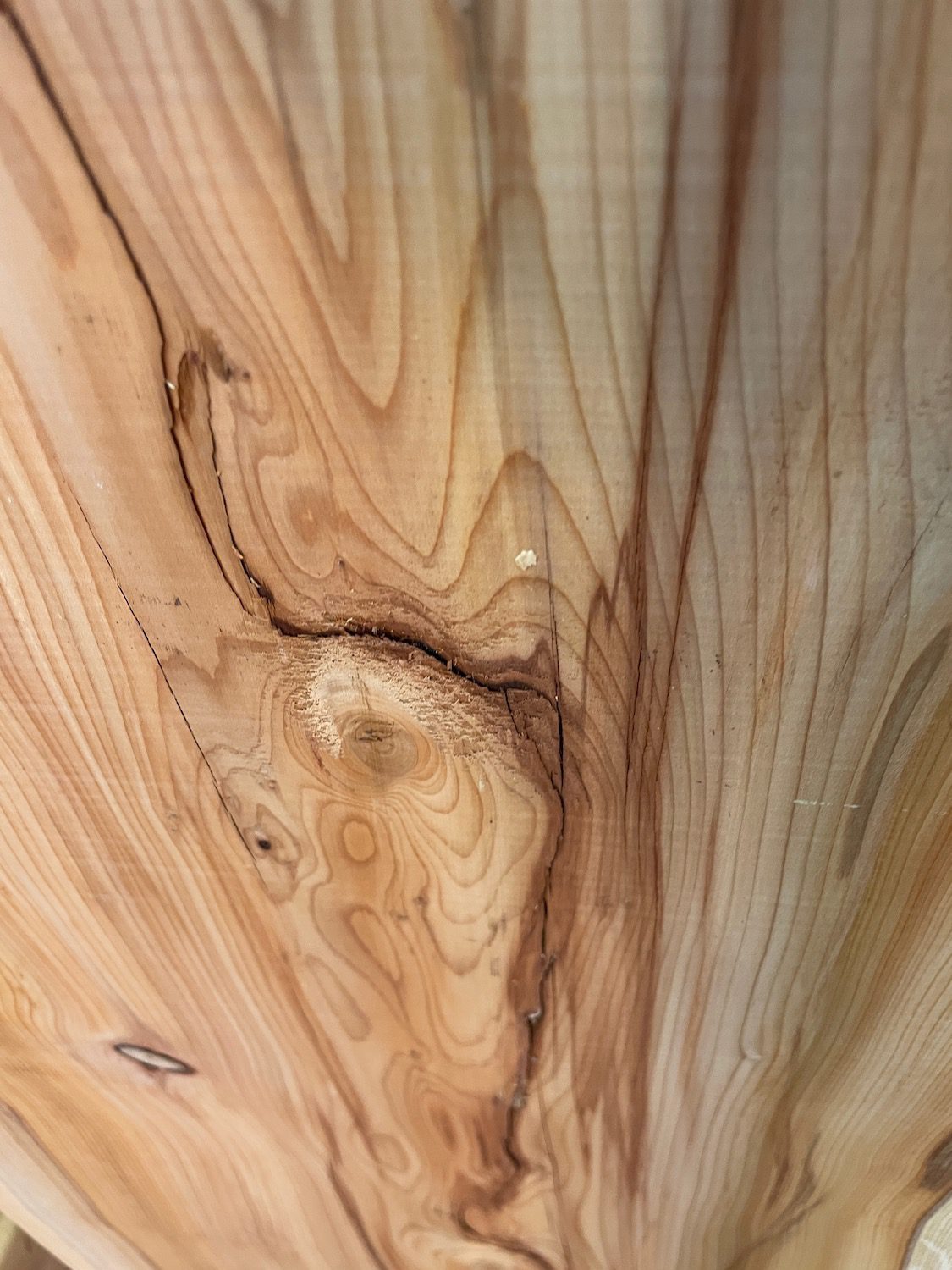 YEW Natural Waney Edge Slab Planed Finish Hardwood Board 1586A-3 Thickness 4.8cm Kiln Dried Seasoned Live Edge - Image 14