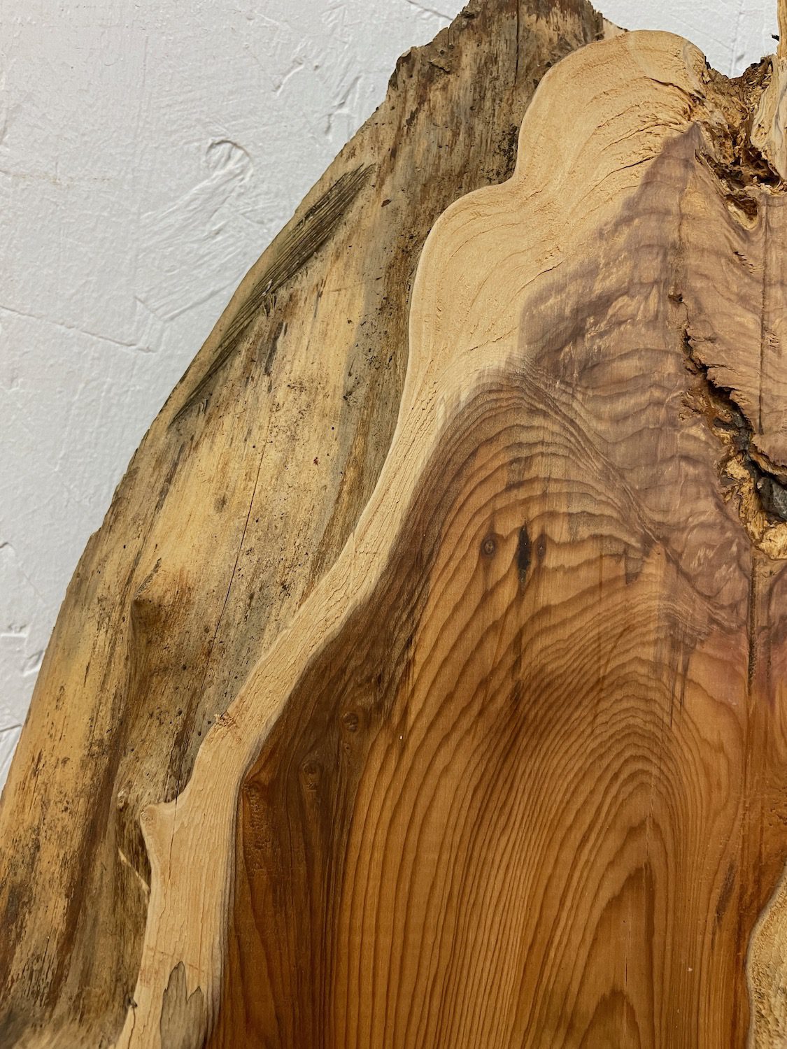 YEW Natural Waney Edge Slab Planed Finish Hardwood Board 1591-3 Thickness 4.5cm Kiln Dried Seasoned Live Edge Wildwood - Image 6