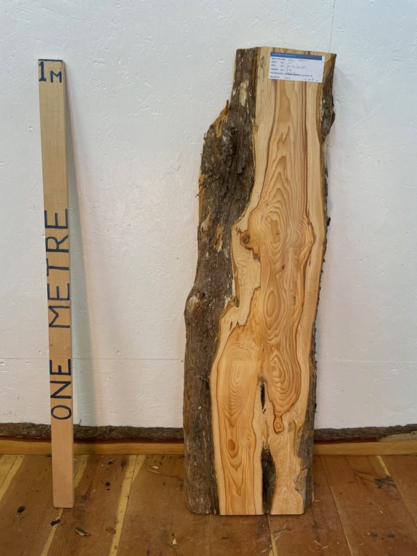 YEW Natural Waney Edge Slab Planed Finish Hardwood Board 1591-1 Thickness 4.8cm Kiln Dried Seasoned Live Edge Wildwood Offcut