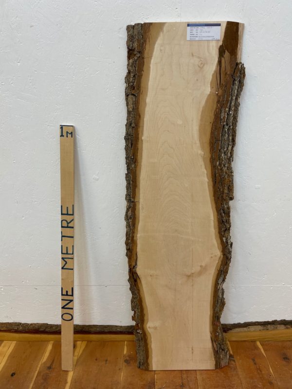 FIGURED MAPLE Waney Edge Slab Planed Finish Hardwood Board 1682B-1 Thickness 3.2cm Kiln Dried Seasoned Live Edge Decorative Board