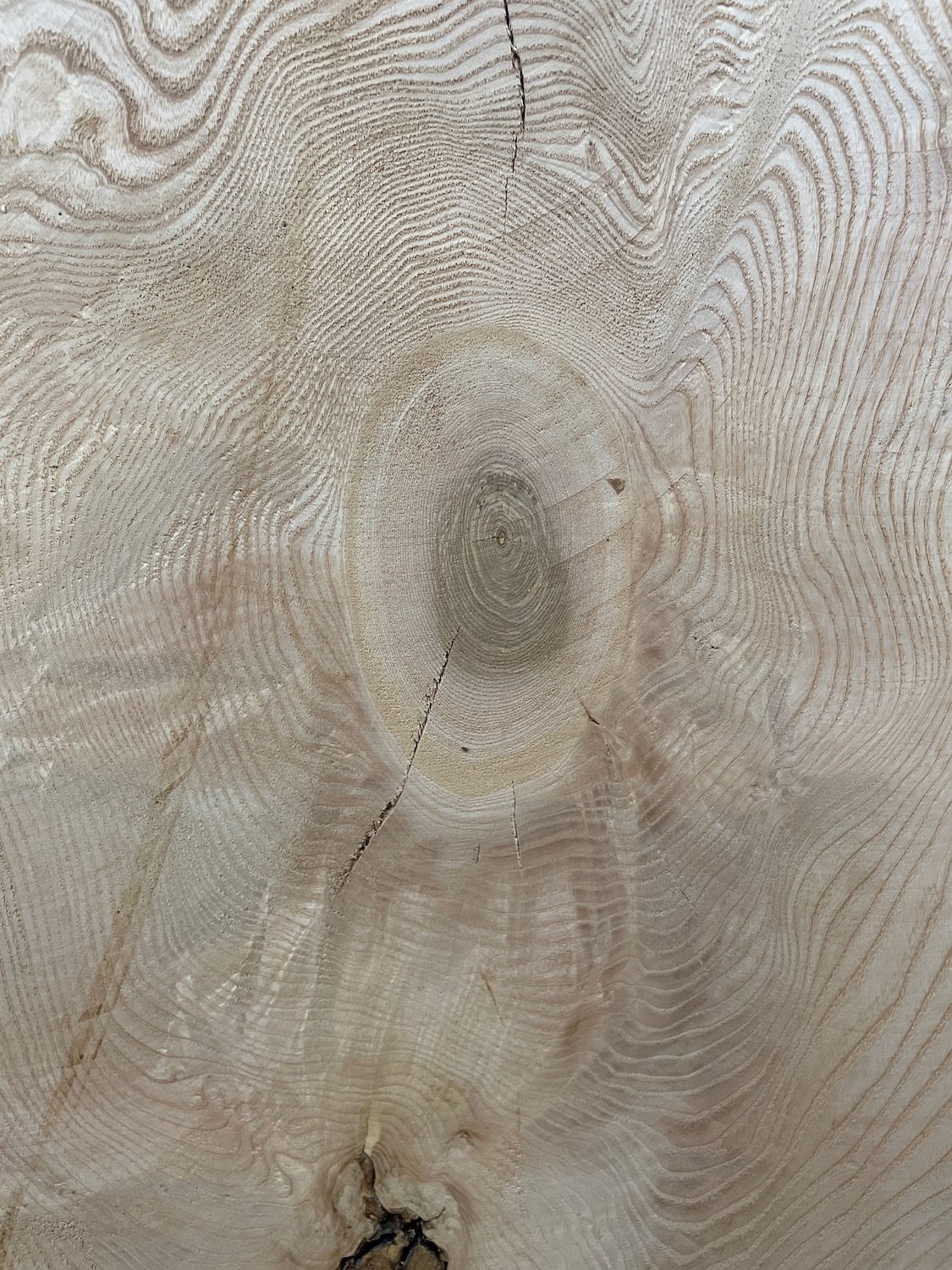 ASH Natural Waney Edge Slab Milled Finish Hardwood Board 1537C-1 Thickness 6cm Kiln Dried Seasoned Live Edge Desktops Coffee Tabletops Wildwood - Image 6