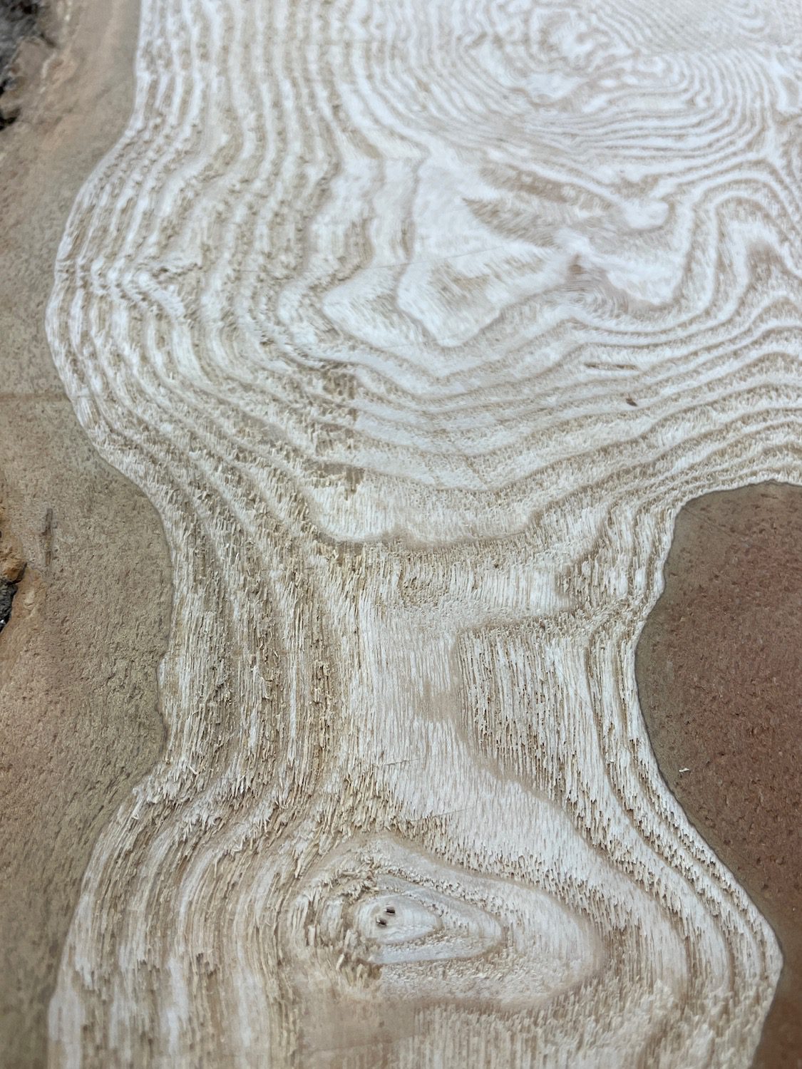 ASH Natural Waney Edge Slab Milled Finish Hardwood Board 1537C-1 Thickness 6cm Kiln Dried Seasoned Live Edge Desktops Coffee Tabletops Wildwood - Image 8