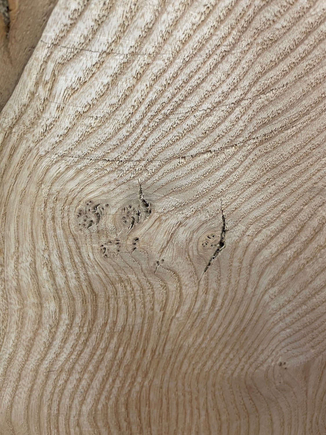 ASH Natural Waney Edge Slab Milled Finish Hardwood Board 1537A-1-1 Thickness 6.5cm Kiln Dried Seasoned Live Edge Desktops Coffee Tabletops Wildwood - Image 8