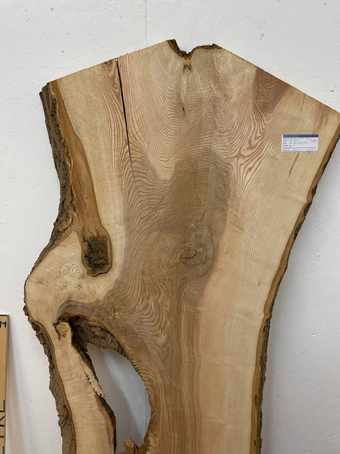 OLIVE ASH CROTCH Natural Waney Edge Slab Milled Finish Hardwood Board 1537C-6 Thickness 6cm Kiln Dried Seasoned Live Edge Desktops Coffee Tabletops Wildwood - Image 4