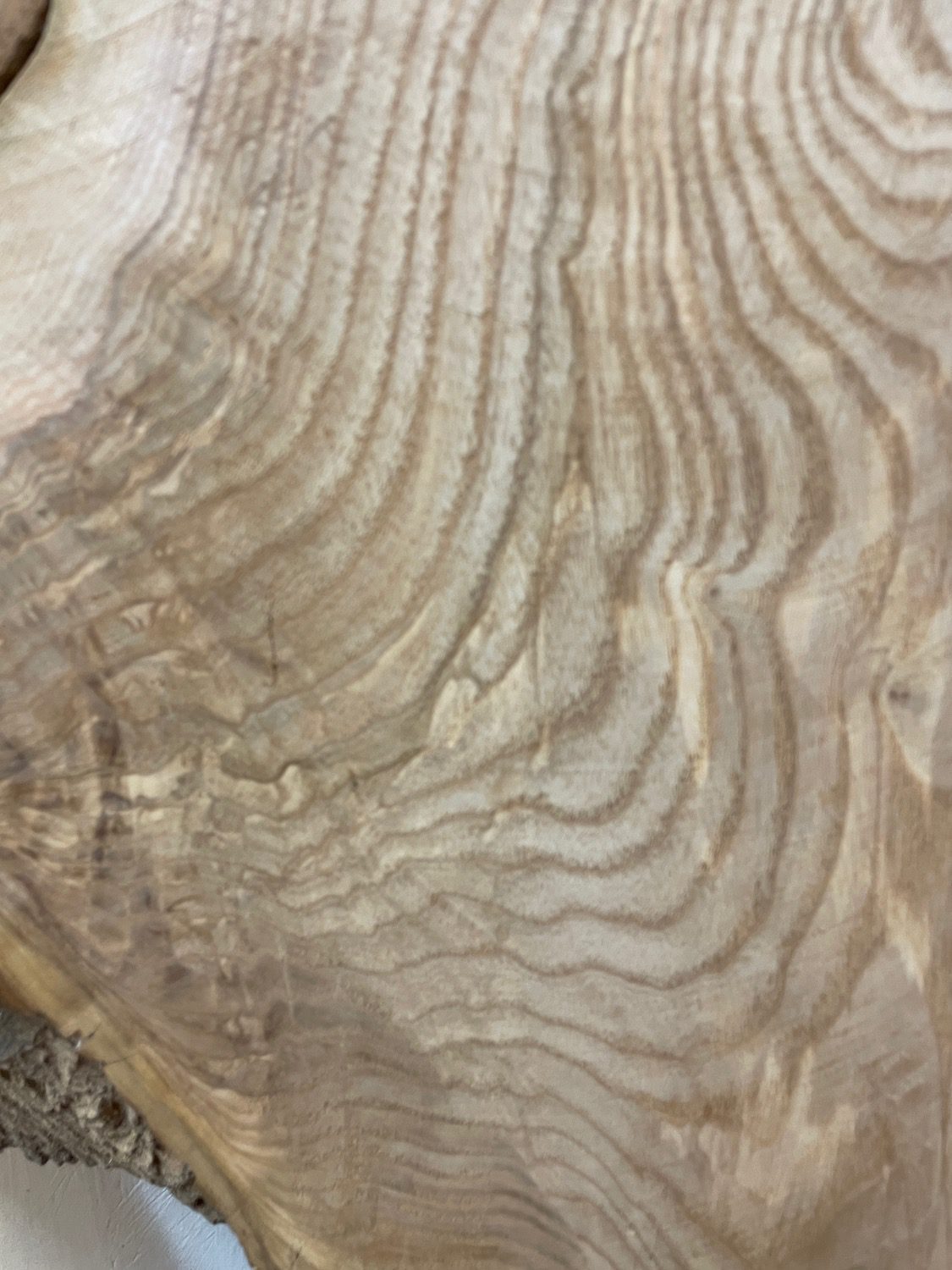 OLIVE ASH CROTCH Natural Waney Edge Slab Milled Finish Hardwood Board 1537C-6 Thickness 6cm Kiln Dried Seasoned Live Edge Desktops Coffee Tabletops Wildwood - Image 7