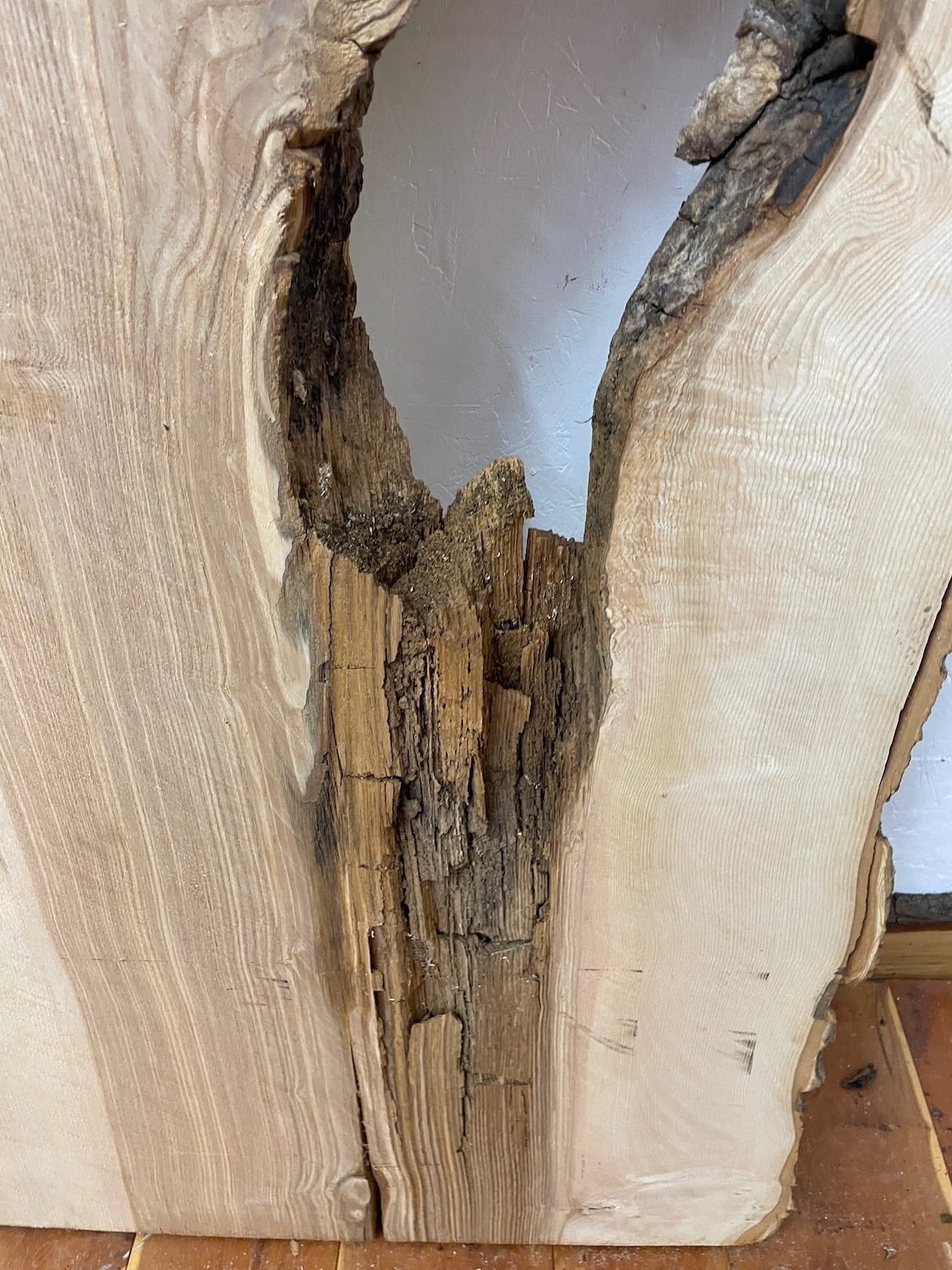 OLIVE ASH CROTCH Natural Waney Edge Slab Milled Finish Hardwood Board 1537C-6 Thickness 6cm Kiln Dried Seasoned Live Edge Desktops Coffee Tabletops Wildwood - Image 21