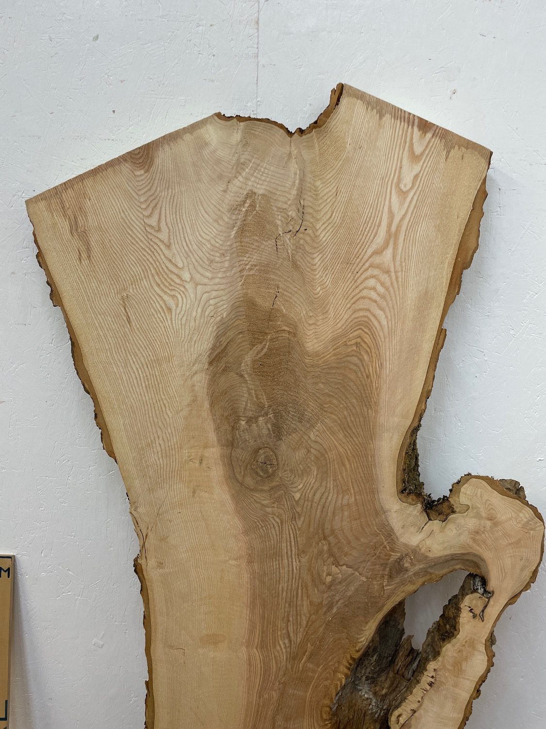 OLIVE ASH CROTCH Natural Waney Edge Slab Milled Finish Hardwood Board 1537C-7 Thickness 6cm Kiln Dried Seasoned Live Edge Desktops Coffee Tabletops Wildwood - Image 17